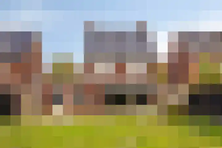 Kleine Hassel 11 Lage Mierde thumbnail 47