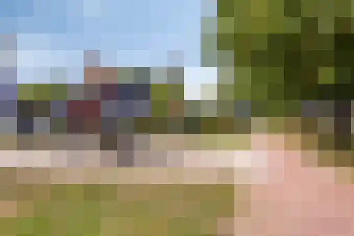 Kleine Hassel 11 Lage Mierde thumbnail 51