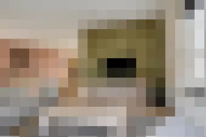 Kleine Hassel 11 Lage Mierde thumbnail 9