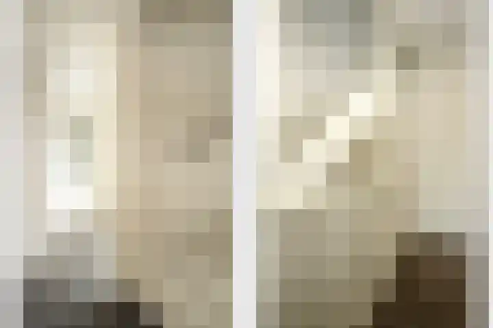 Kleine Hassel 19 Lage Mierde thumbnail 10