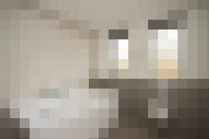 Kleine Hassel 19 Lage Mierde thumbnail 13