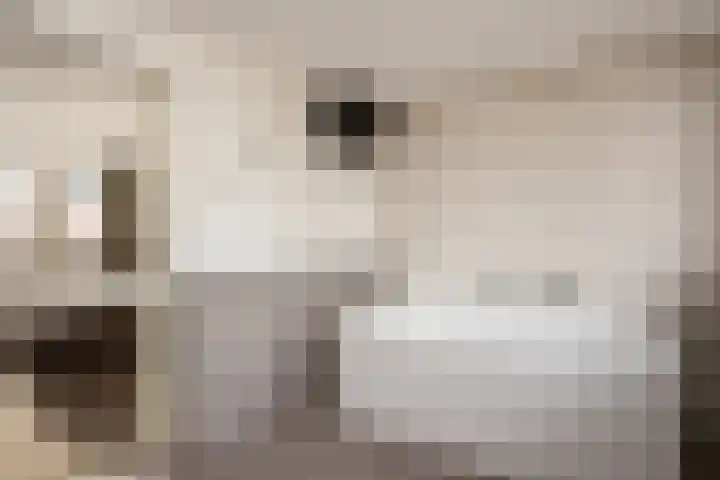 Kleine Hassel 19 Lage Mierde thumbnail 14