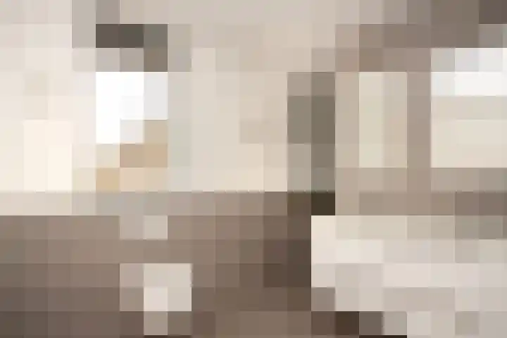 Kleine Hassel 19 Lage Mierde thumbnail 15