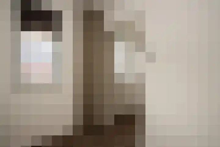 Kleine Hassel 19 Lage Mierde thumbnail 17