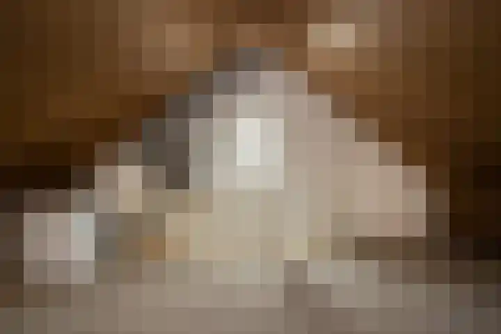 Kleine Hassel 19 Lage Mierde thumbnail 19