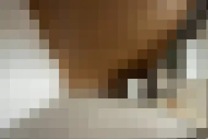Kleine Hassel 19 Lage Mierde thumbnail 20