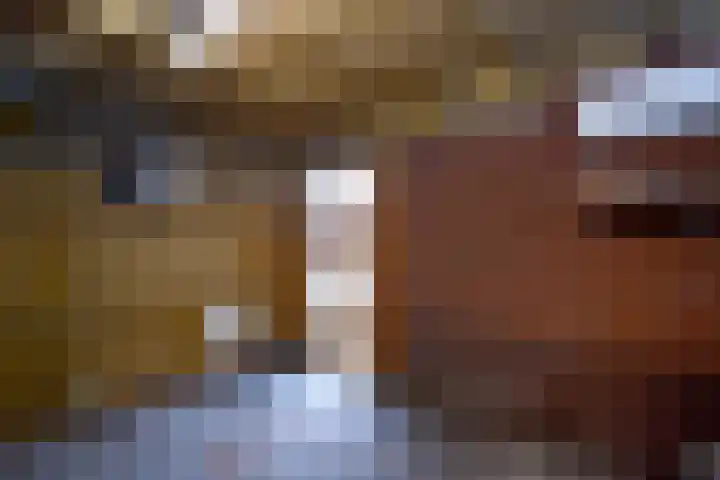 Kleine Hassel 19 Lage Mierde thumbnail 21