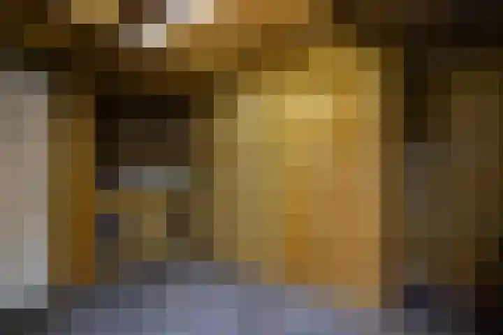 Kleine Hassel 19 Lage Mierde thumbnail 22