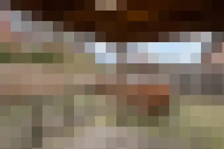 Kleine Hassel 19 Lage Mierde thumbnail 26