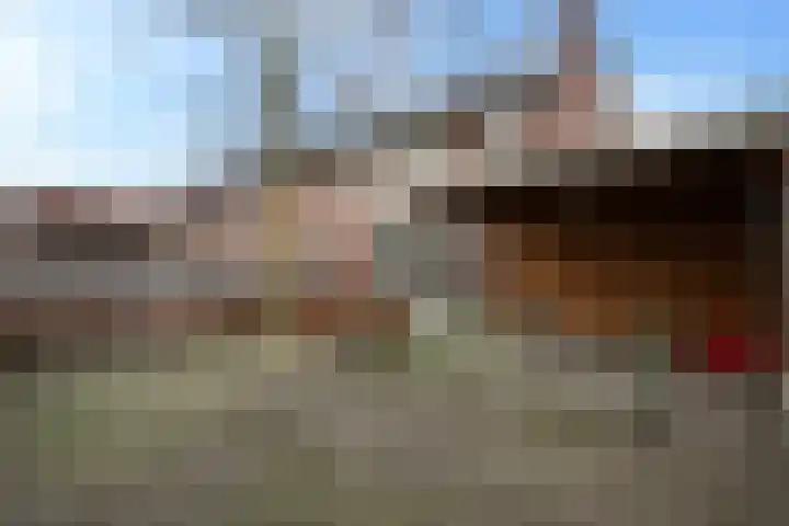 Kleine Hassel 19 Lage Mierde thumbnail 27
