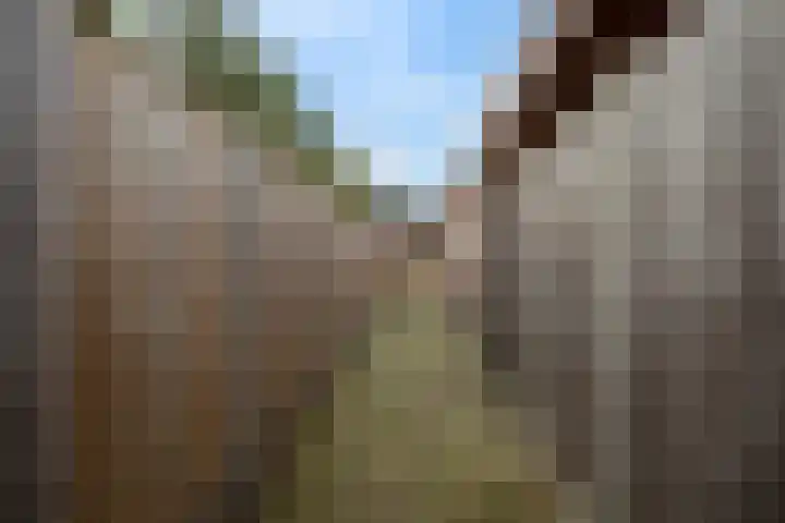 Kleine Hassel 19 Lage Mierde thumbnail 29