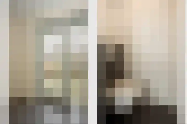 Kleine Hassel 19 Lage Mierde foto 3