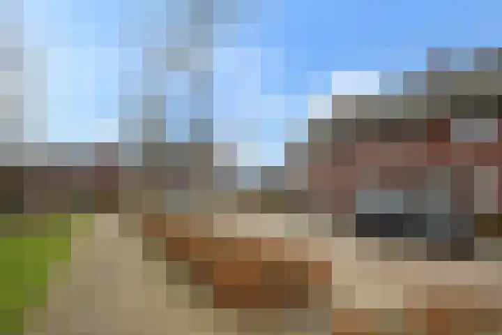Kleine Hassel 19 Lage Mierde thumbnail 31