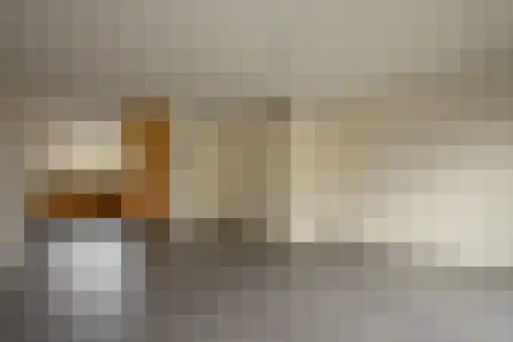 Kleine Hassel 19 Lage Mierde thumbnail 6