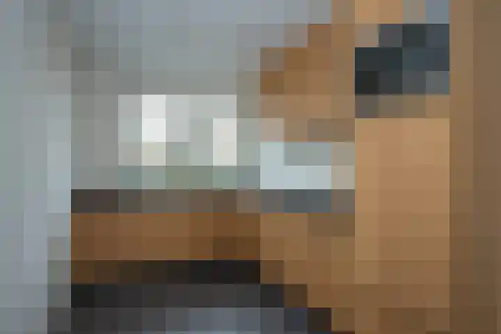 Kleine Hassel 19 Lage Mierde thumbnail 9