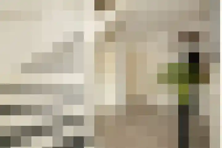 Kleine Haven 2 a Haastrecht thumbnail 11