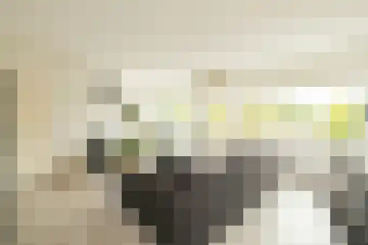 Kleine Haven 2 a Haastrecht thumbnail 13