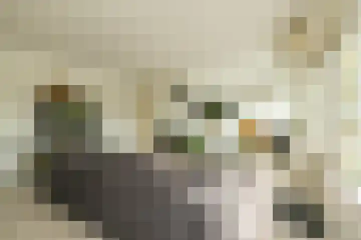 Kleine Haven 2 a Haastrecht thumbnail 15