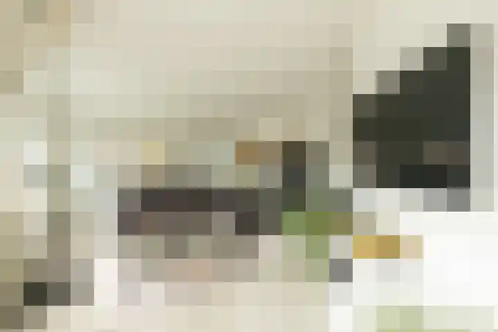 Kleine Haven 2 a Haastrecht thumbnail 16
