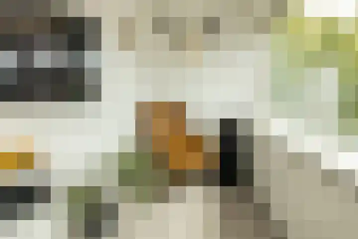 Kleine Haven 2 a Haastrecht thumbnail 17