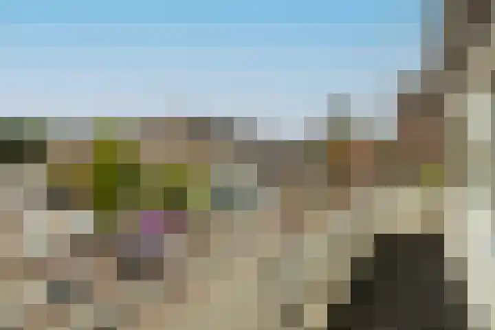 Kleine Haven 2 a Haastrecht thumbnail 23