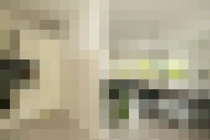 Kleine Haven 2 a Haastrecht thumbnail 24