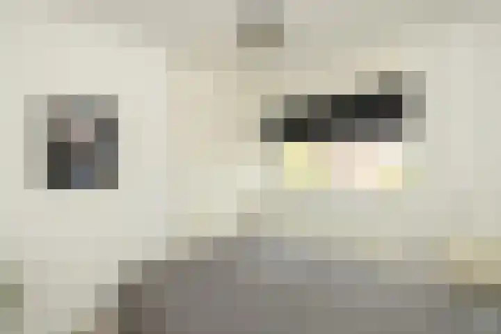 Kleine Haven 2 a Haastrecht thumbnail 27