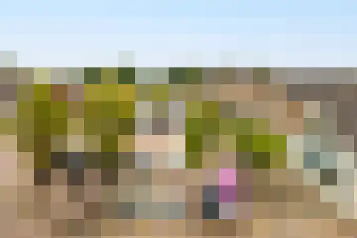 Kleine Haven 2 a Haastrecht thumbnail 5