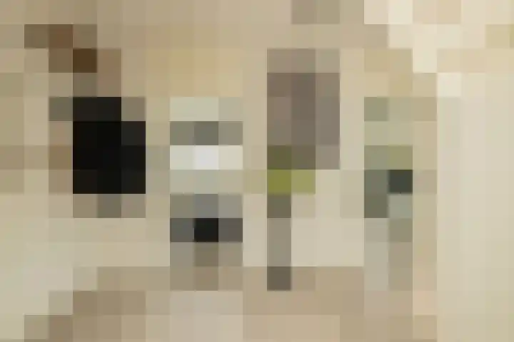 Kleine Haven 2 a Haastrecht thumbnail 9