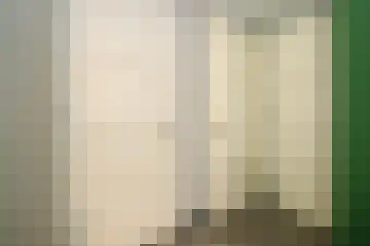 Kleine Haven 4 Haastrecht thumbnail 10