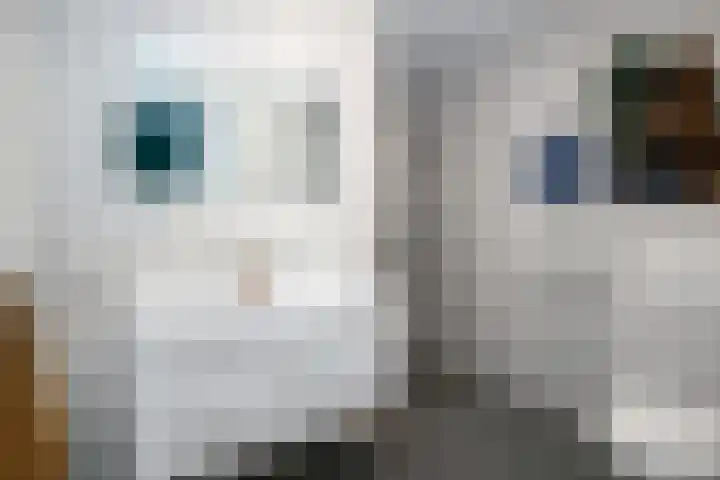 Kleine Haven 4 Haastrecht thumbnail 14