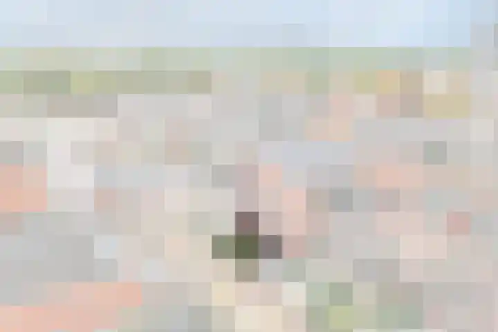 Kleine Haven 4 Haastrecht thumbnail 22