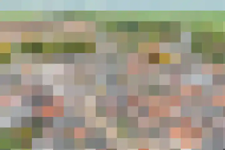 Kleine Haven 4 Haastrecht thumbnail 24