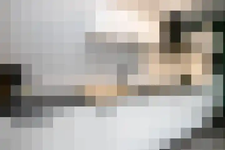Kleine Haven 4 Haastrecht thumbnail 8