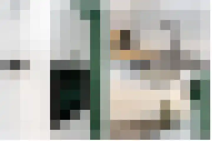 Kleine Haven 4 Haastrecht thumbnail 9