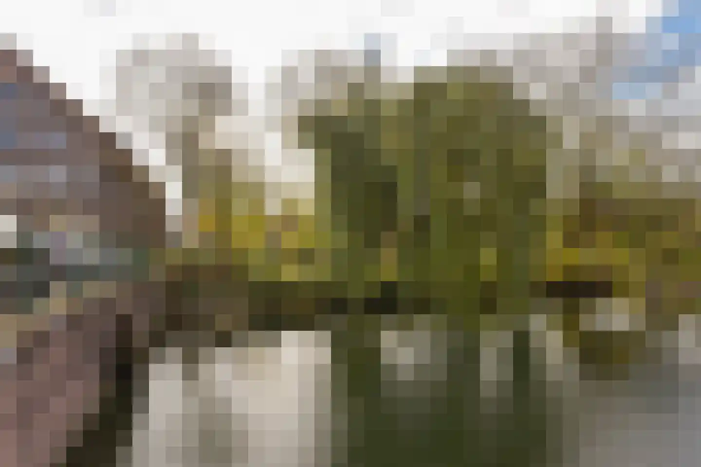 Kleine Havensteeg 13 Hoorn thumbnail 21