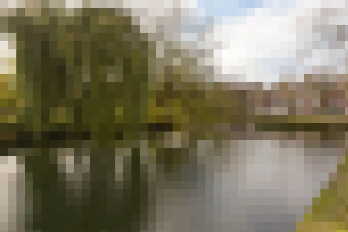 Kleine Havensteeg 13 Hoorn thumbnail 22