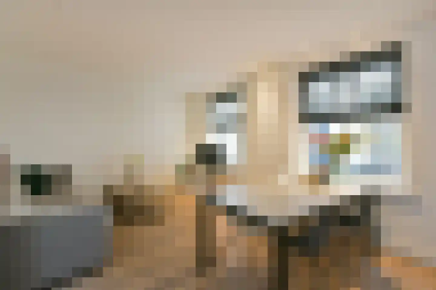 Kleine Havensteeg 13 Hoorn thumbnail 7