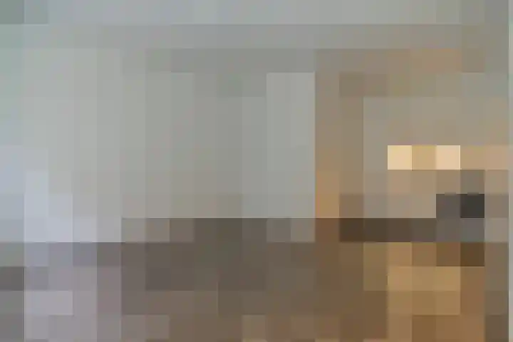 Kleine Havensteeg 15 Hoorn thumbnail 8