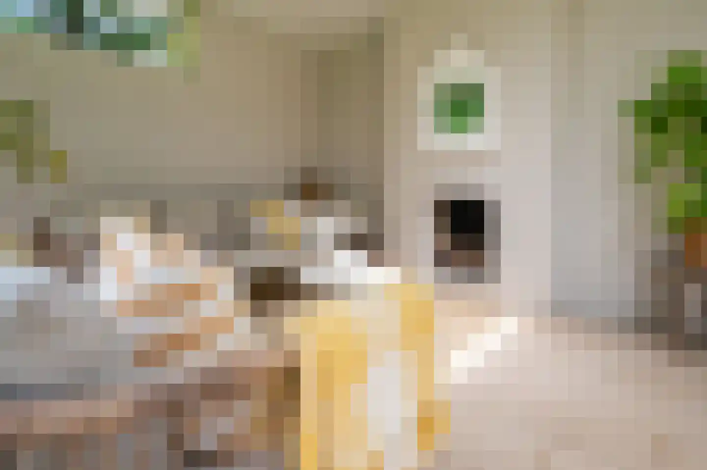 Kleine Hei 23 Oisterwijk thumbnail 13