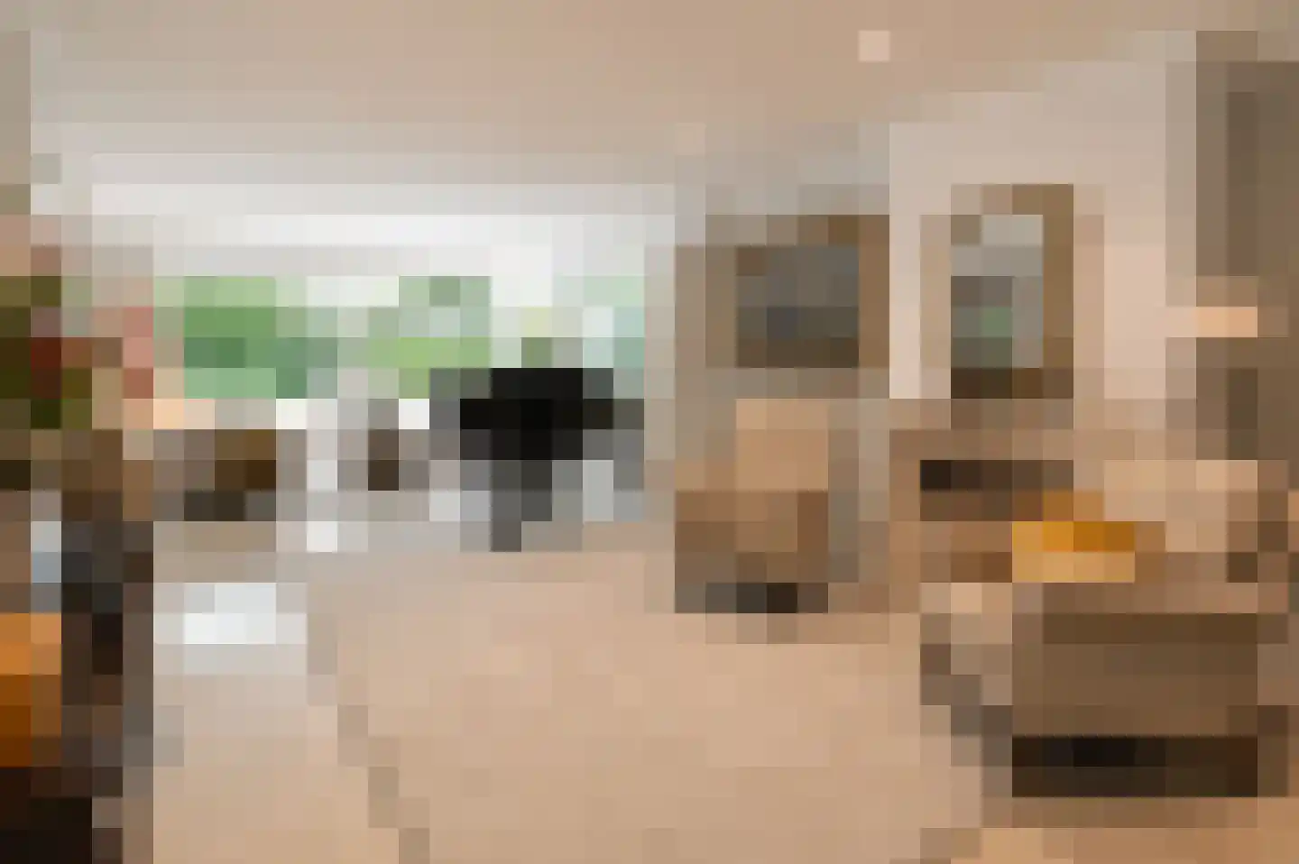 Kleine Hei 23 Oisterwijk thumbnail 4