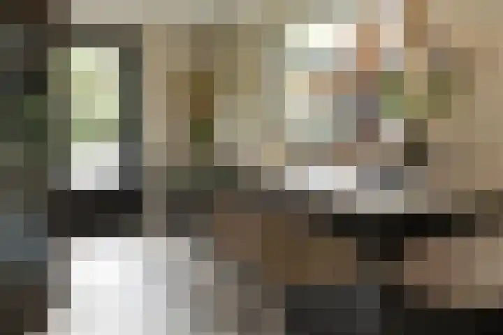 Kleine Hei 24 Oisterwijk thumbnail 10