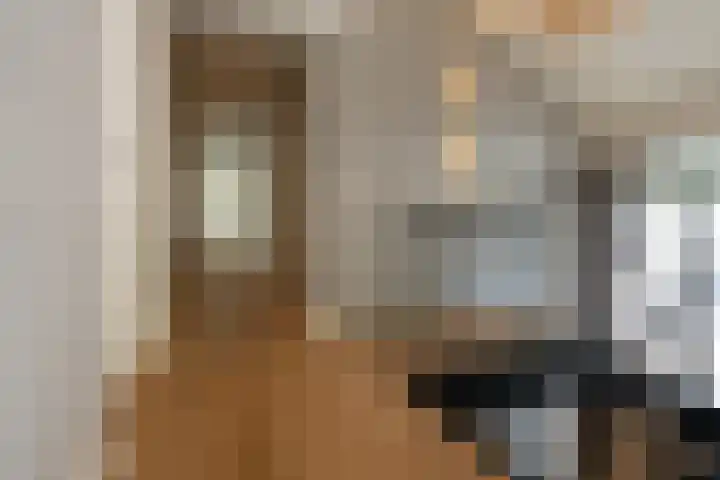 Kleine Hei 24 Oisterwijk thumbnail 12