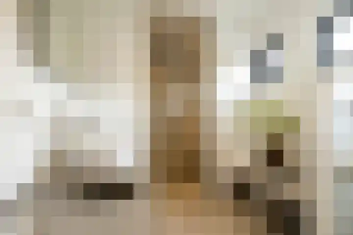 Kleine Hei 24 Oisterwijk thumbnail 13