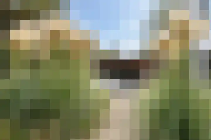 Kleine Hei 24 Oisterwijk thumbnail 17