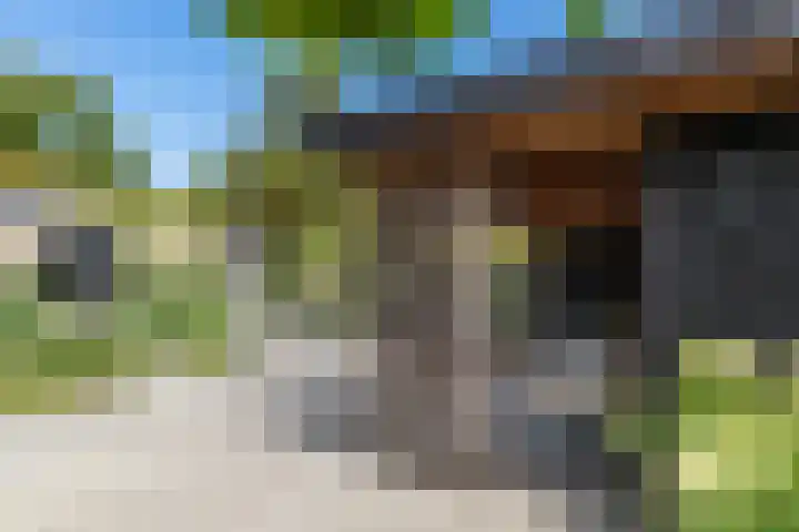 Kleine Hei 24 Oisterwijk thumbnail 20