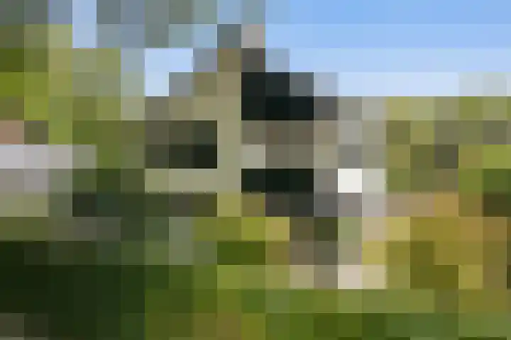 Kleine Hei 24 Oisterwijk thumbnail 21