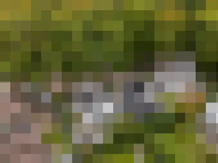 Kleine Hei 24 Oisterwijk thumbnail 22