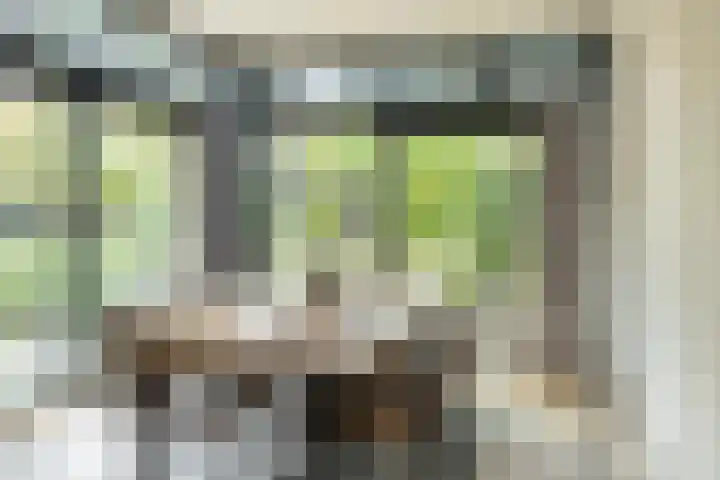 Kleine Hei 24 Oisterwijk thumbnail 7