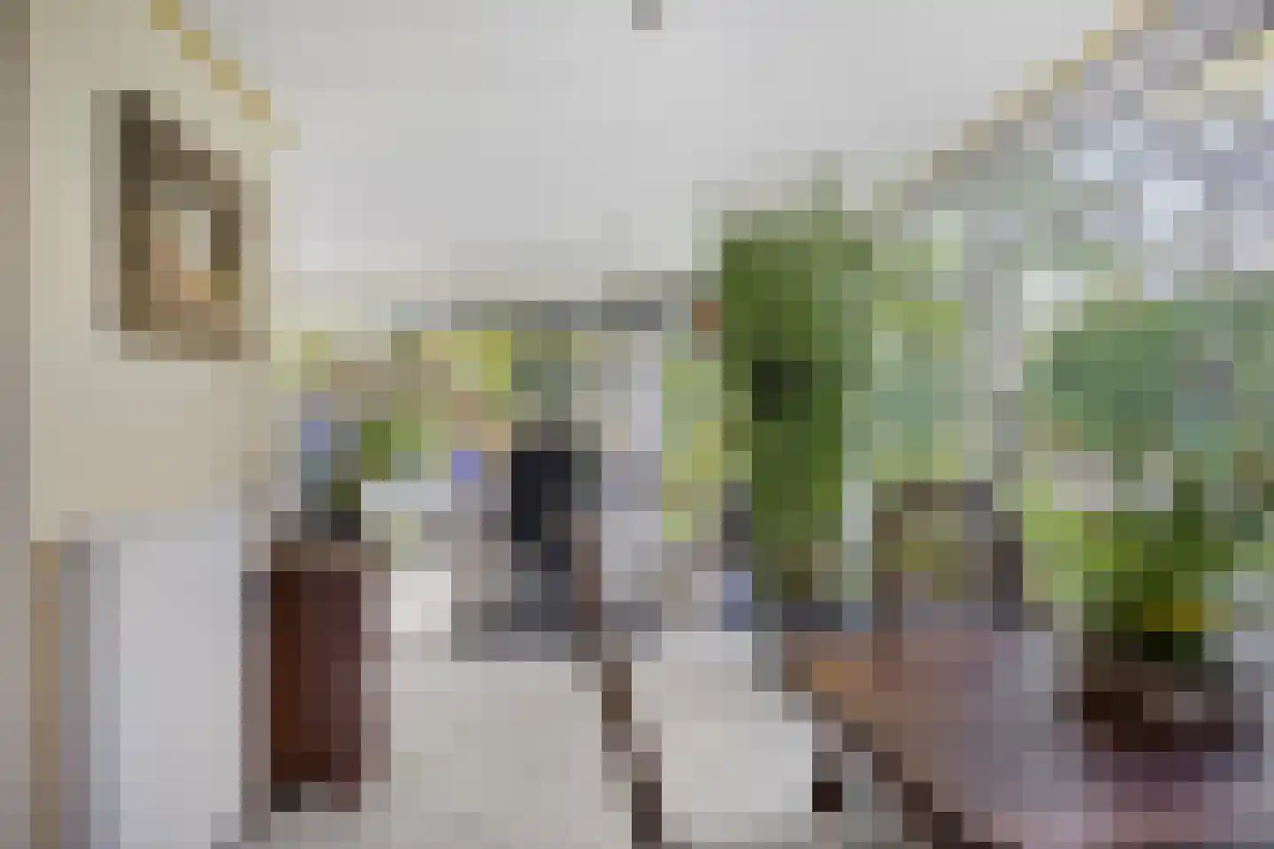 Kleine Heistraat 16 a Wernhout thumbnail 19